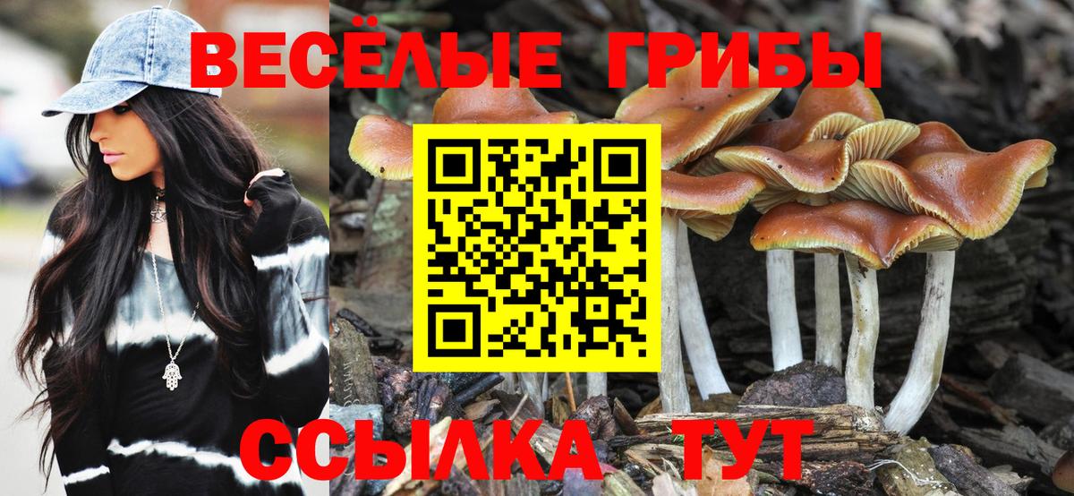 Грозный  Галлюциногенные грибы прущие грибы  Вход с VPN 