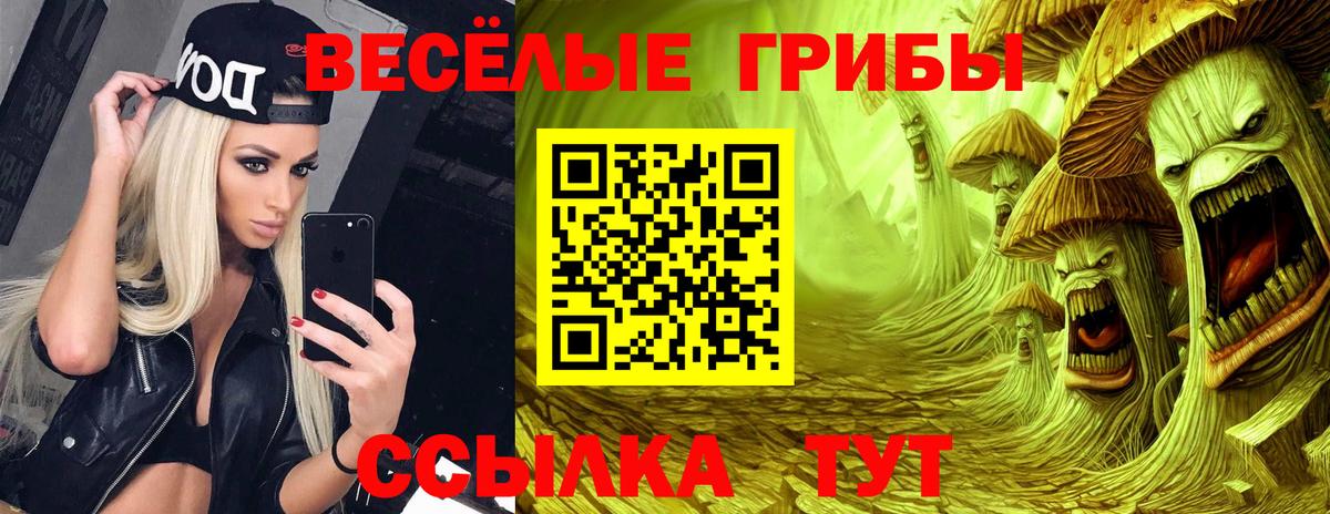 Галлюциногенные грибы мицелий  Грозный 