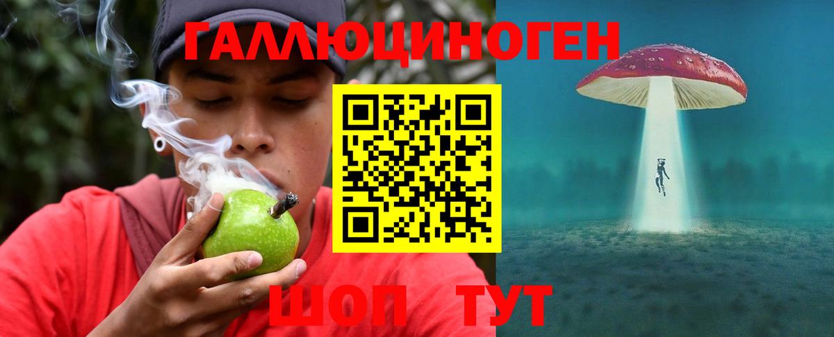 Псилоцибиновые грибы мицелий Грозный