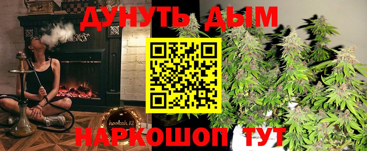Бошки марихуана SATIVA & INDICA  Конопля планчик  Каннабис OG Kush  Грозный  Вход с VPN 